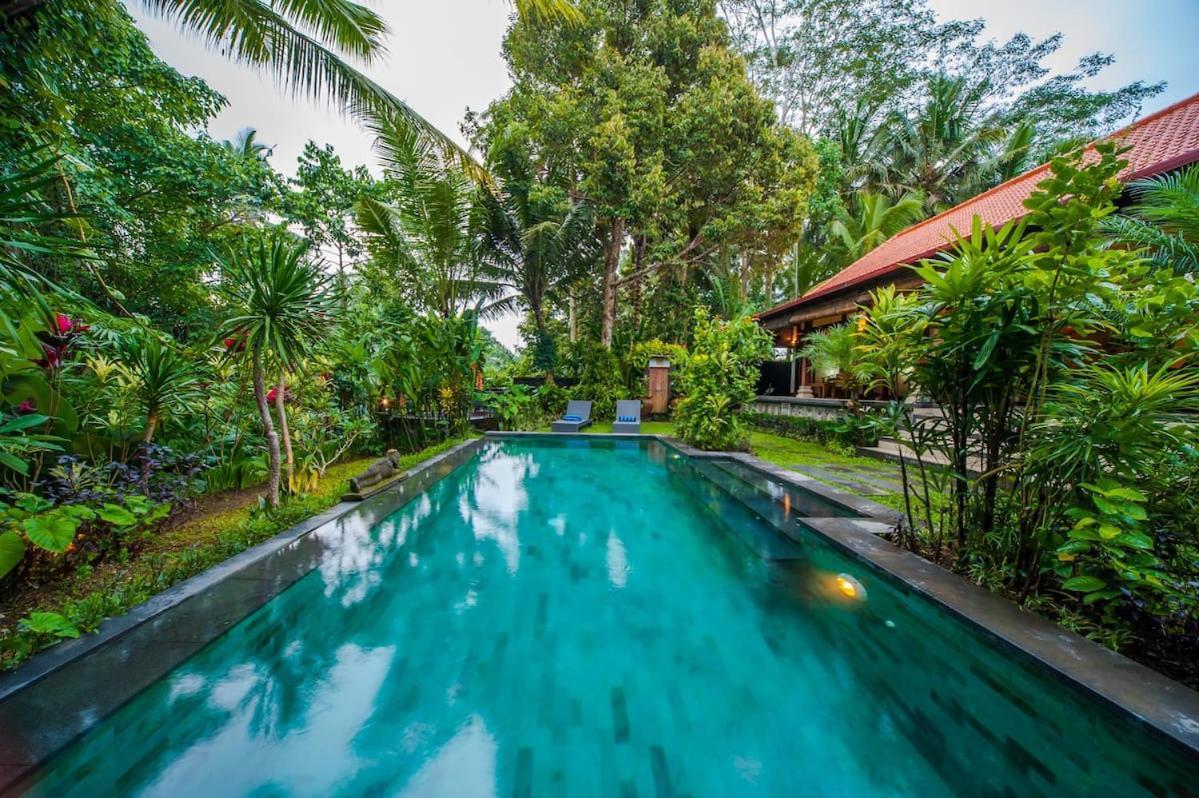 Luxury 3Br Infinity Jungle View Aashaya Villa Ubud Dış mekan fotoğraf
