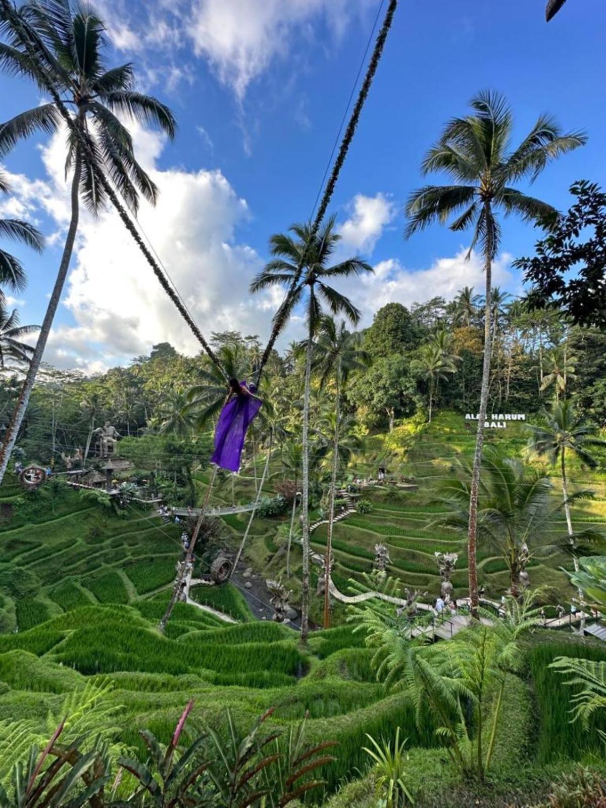 Luxury 3Br Infinity Jungle View Aashaya Villa Ubud Dış mekan fotoğraf
