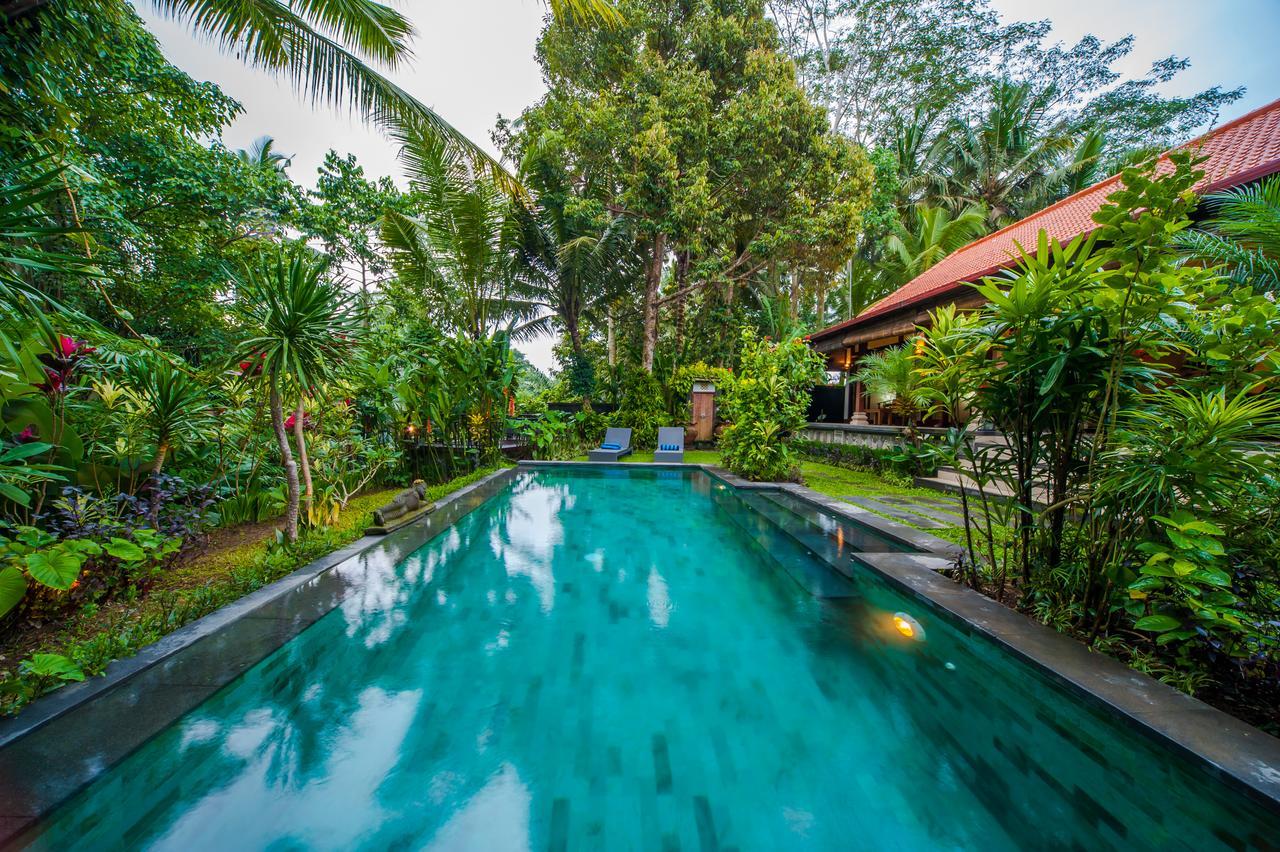 Luxury 3Br Infinity Jungle View Aashaya Villa Ubud Dış mekan fotoğraf